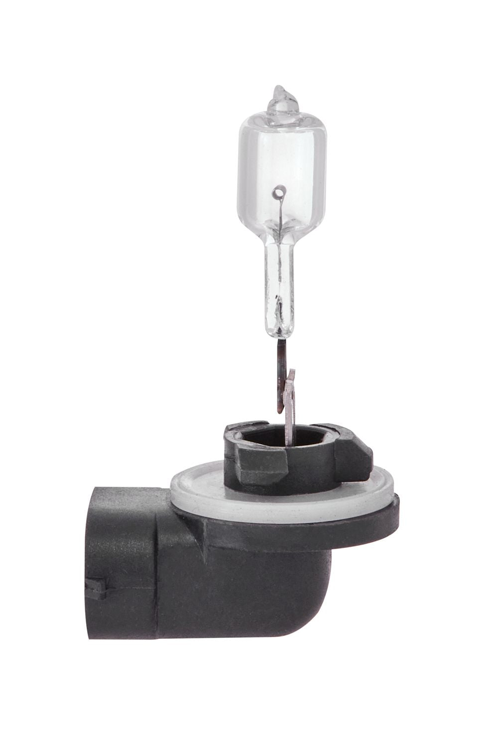 1 AMPOULE 12V 50W PG13J (BOITE) RING z