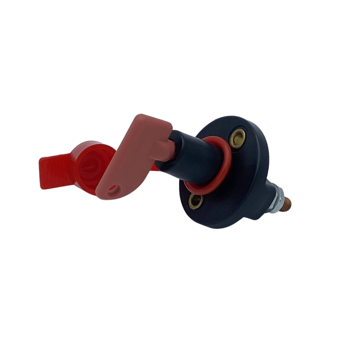 COUPE CIRCUIT 2 POLES 12/24V 200A POUR BATTERIE