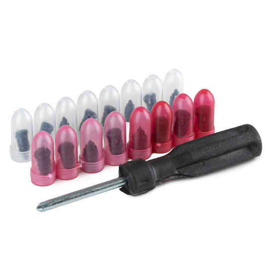 VIS DE RÉPARATION POUR PNEUS 17PCS + TOURNEVIS AMIO