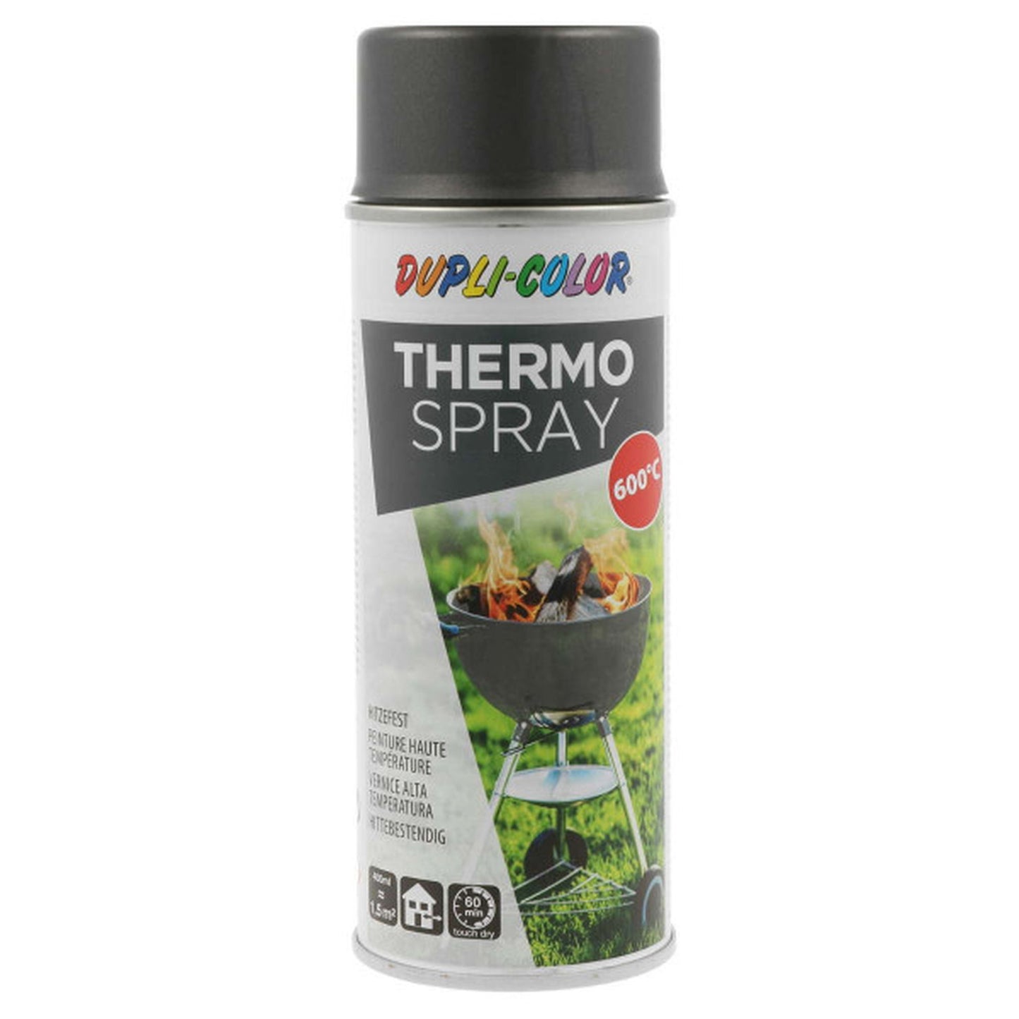 THERMO SPRAY gris fonte 600 °C